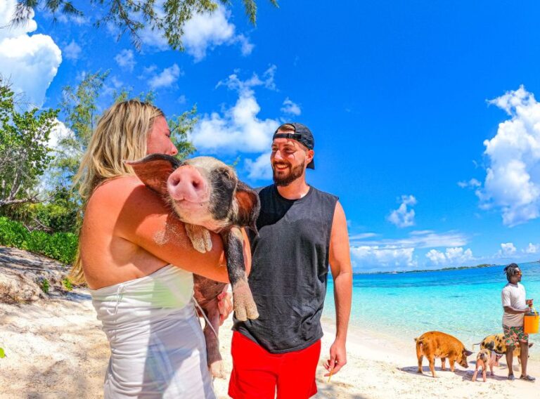 Nassau: Sun Cay and Swimming Pigs Boat Trip With Lunch