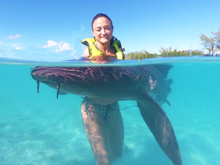 Nassau: Swim With Sharks, Swimming Pigs Tour
