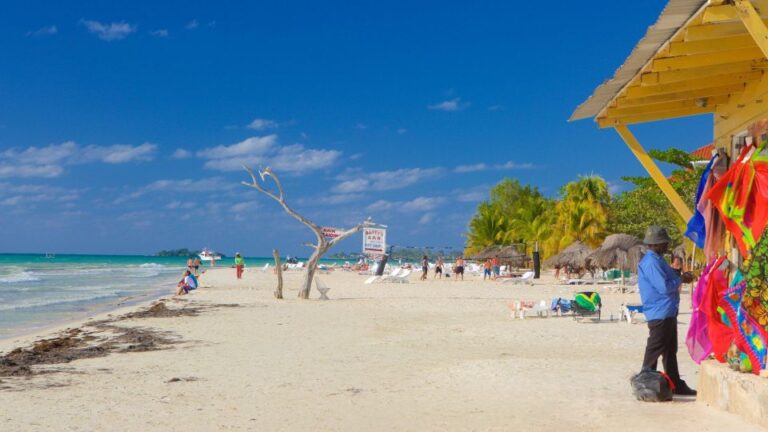 Negril: Private Customizable Beach and City Highlights Tour