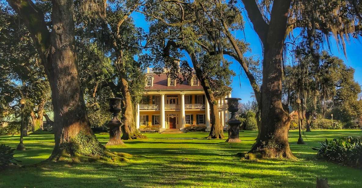 New Orleans: Destrehan Plantation, Houmas House & Lunch - Tour Highlights