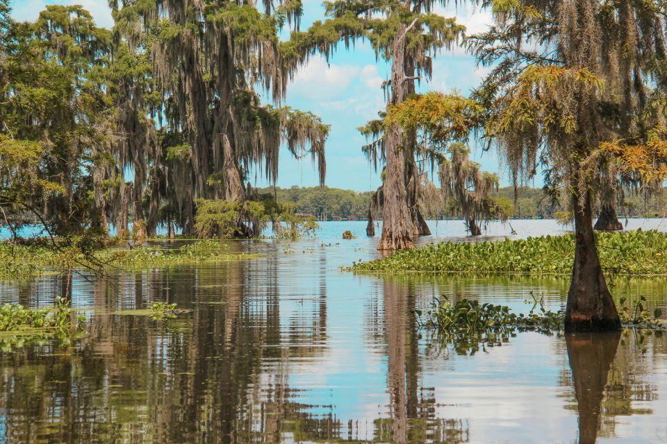 New Orleans: Discover the Surrounding Swamps by Airboat - Meeting Point
