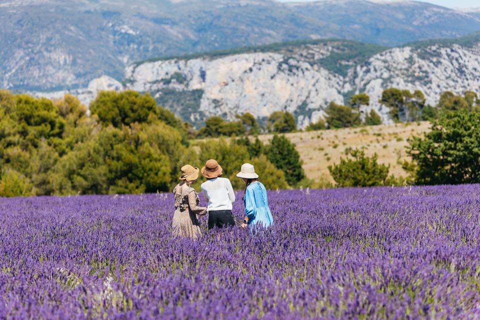 Nice: Gorges of Verdon and Fields of Lavender Tour - Tour Details