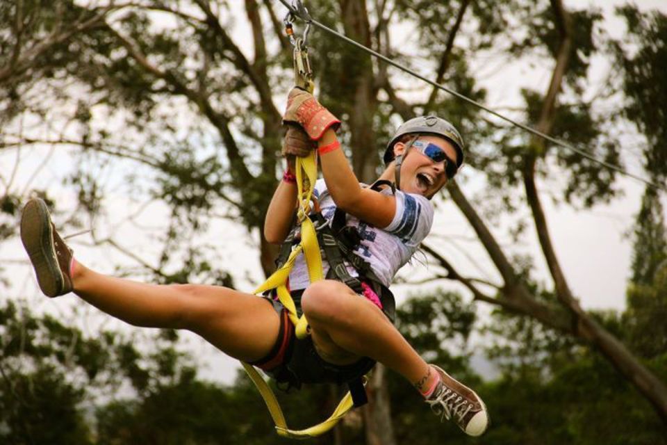 North Maui: 7 Line Zipline Adventure With Ocean Views - Tour Description and Highlights