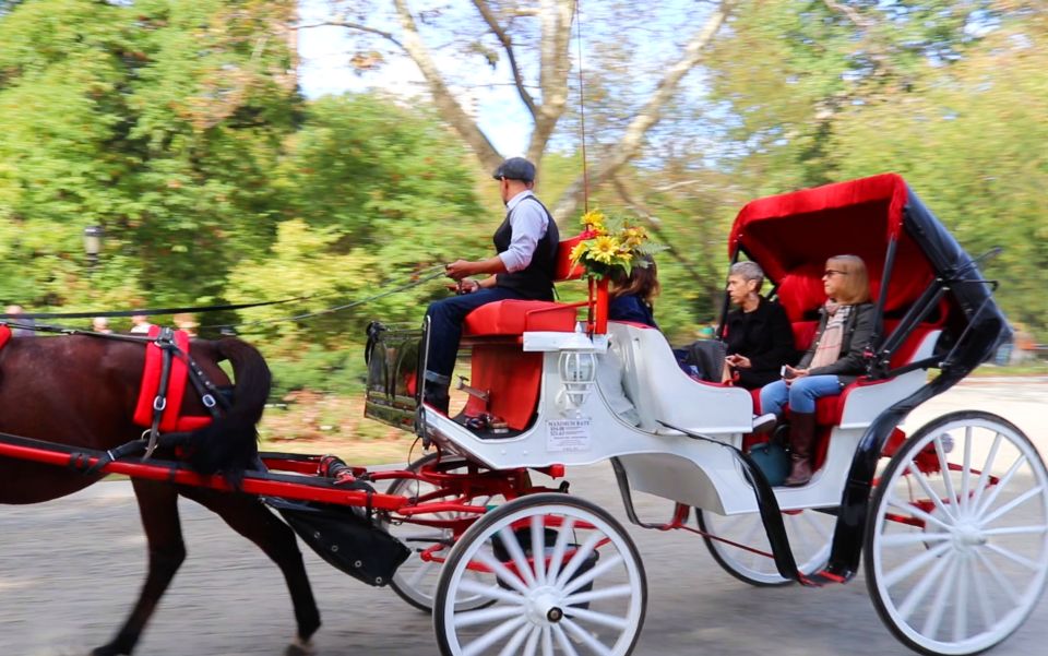 NYC: Guided Standard Central Park Carriage Ride (4 Adults) - Highlights of the Carriage Ride