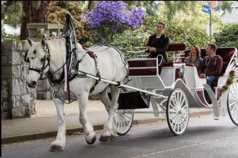 NYC: Private Central Park Horse Carriage Ride With Guide