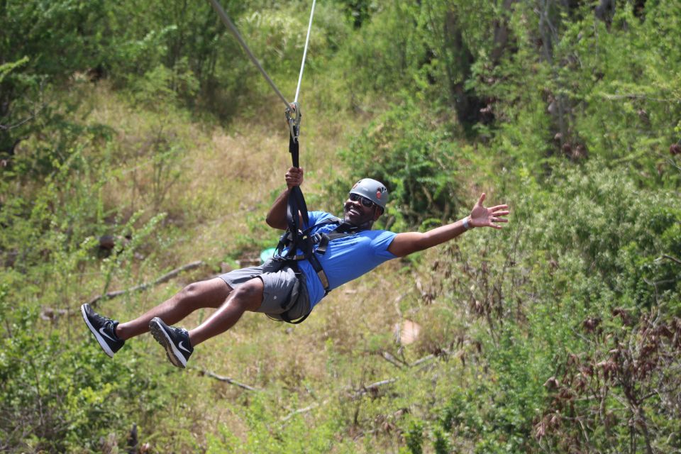 Oahu: 3 Ziplines and Coral Crater Tour With Transfer - Activity Details