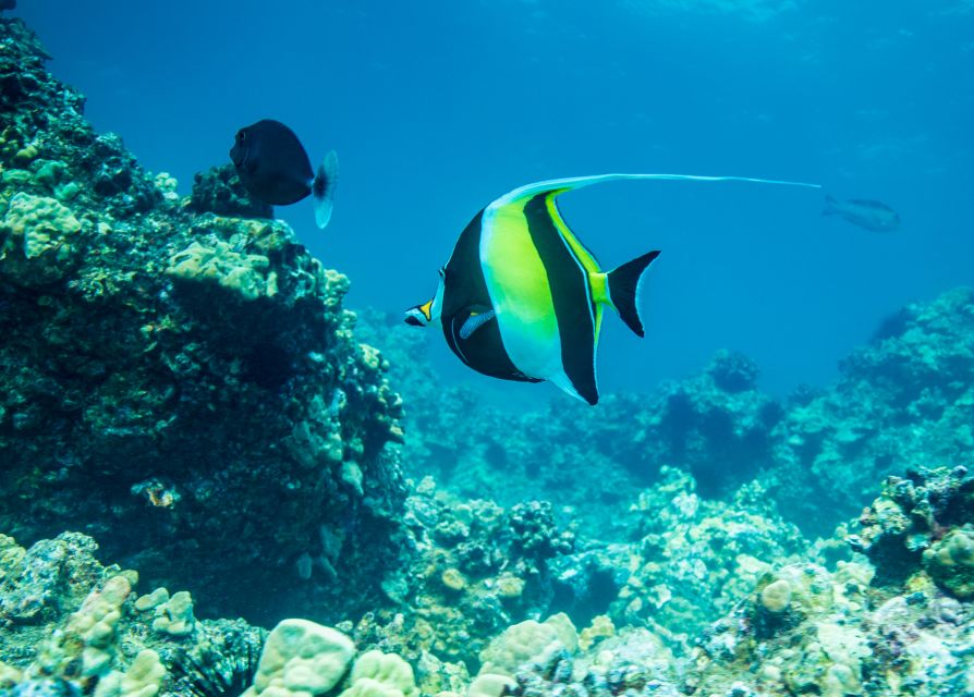 Oahu: Circle Island Snorkeling Tour