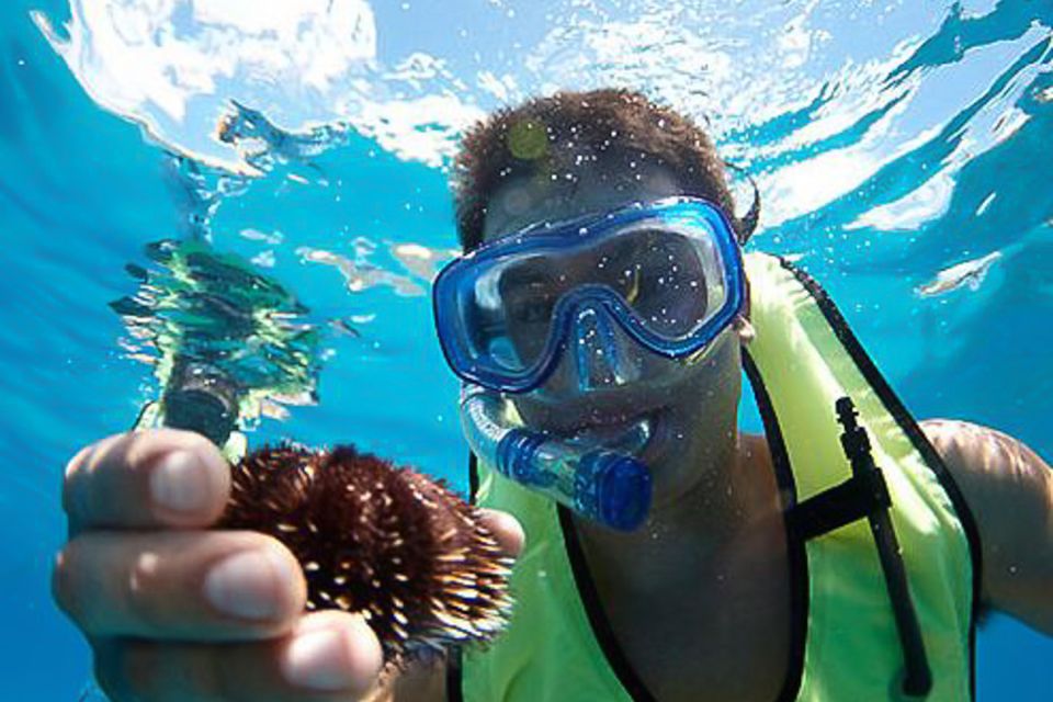 Oahu: Hilton Hawaiian Village Morning Snorkel With Lunch - Activity Details