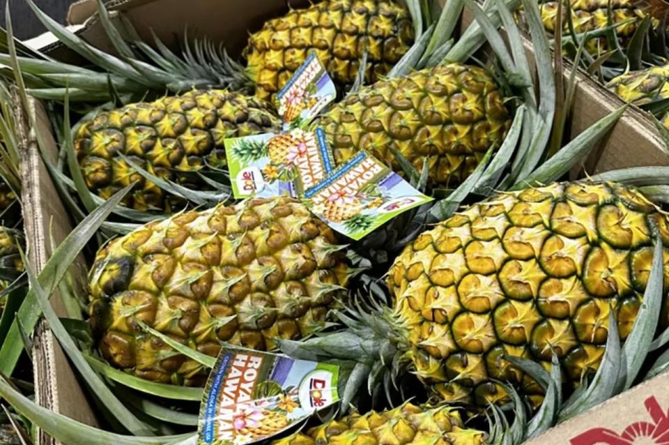 Oahu: North Shore Dole Pineapple Farm Tour - Tour Details