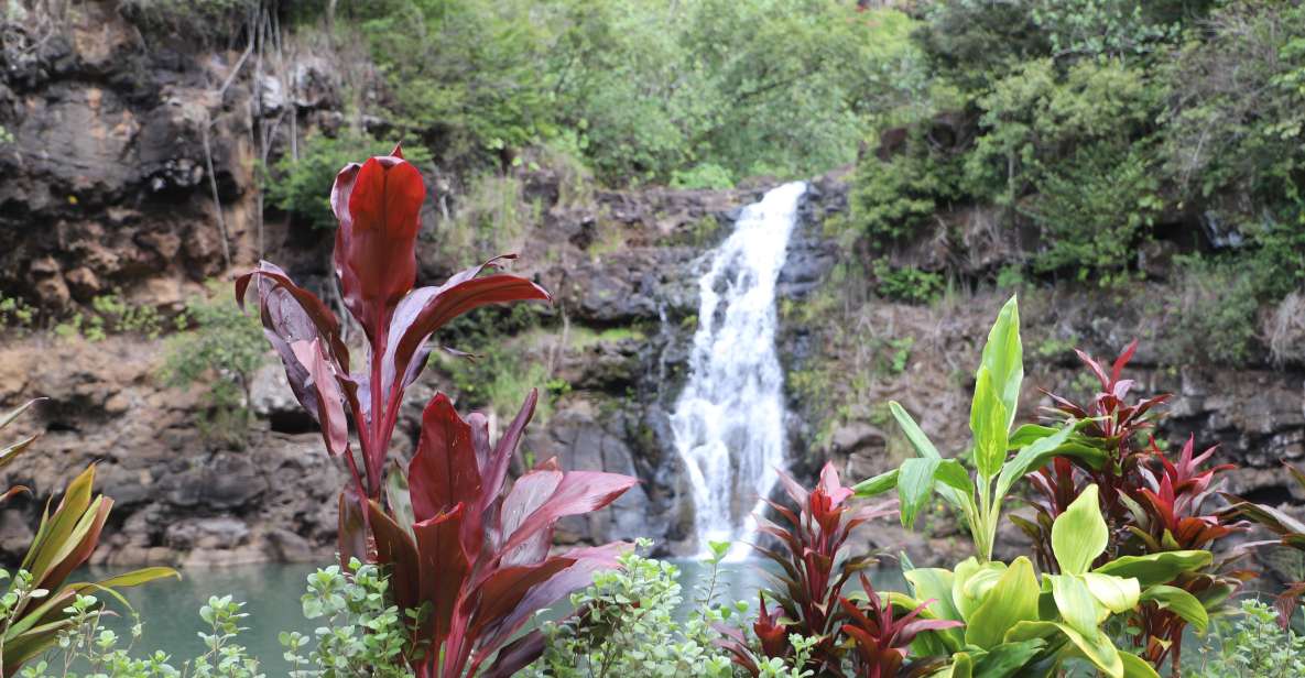 Oahu: Valley of Waimea Falls Swim & Hike With Lunch & Dole - Experience Highlights