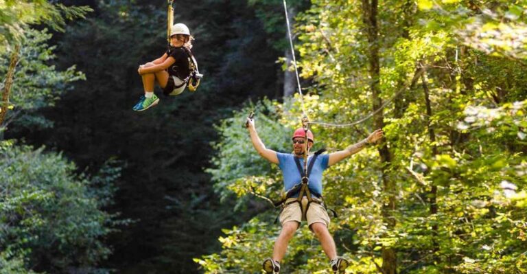 Oak Hill: Zipline Tour in New River Gorge National Park