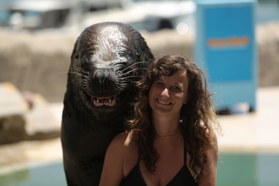 Ocean World Dolphin Swim & Sea Lion Combo From Puerto Plata