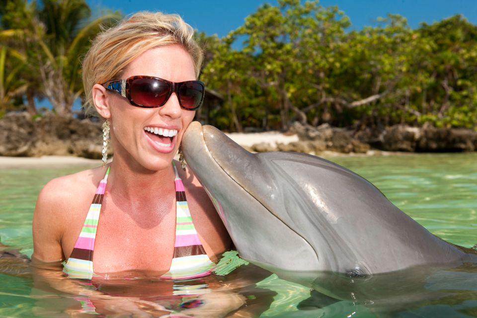 Ocho Rios: Full-Day at Dolphin Cove & Swim With the Dolphins - Experience Details