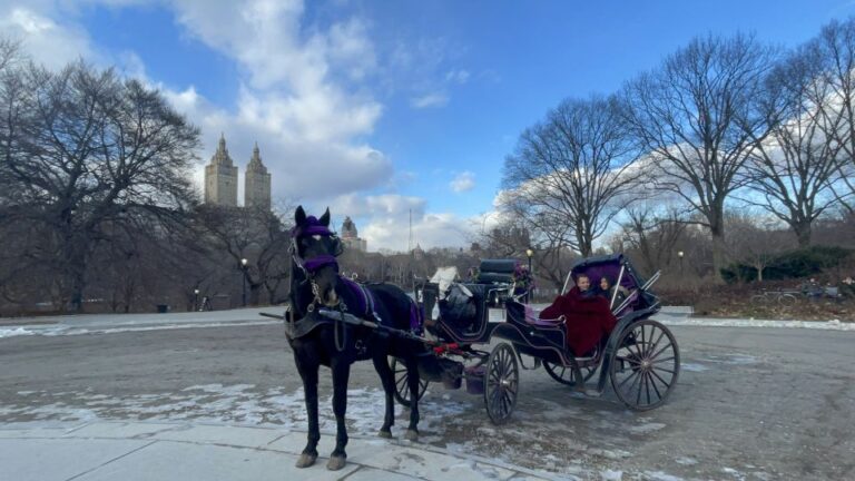 Official Exclusive VIP Horse Carriage Ride in Central Park