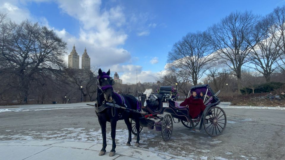 Official Exclusive VIP Horse Carriage Ride in Central Park - Tour Highlights