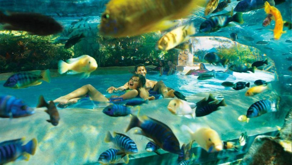 Orlando: Aquatica Water Park Admission Ticket