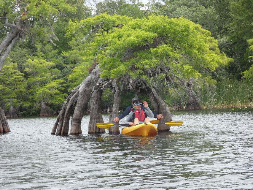 Orlandos Lake Norris: 5-Hour Kayak Explorer Tour With Lunch - Inclusions