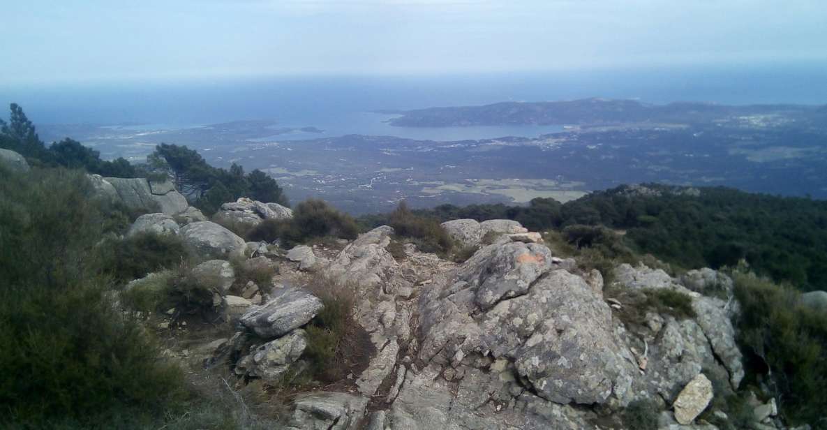 OSPEDALE FOREST:Panoramic Summit With Sea and Lakes View - Background