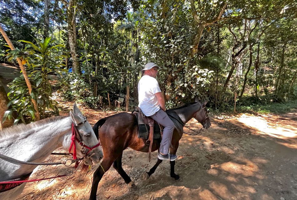 Paraty: 3-Hour Rainforest Horseback Ride - Activity Details