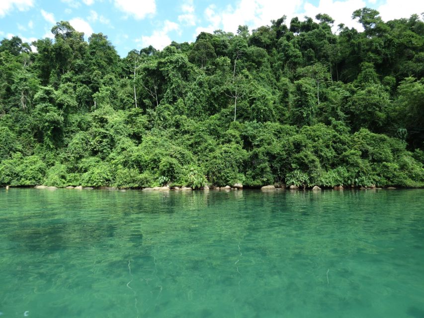 Paraty: Jeep Tour Waterfalls With Cachaça Tasting