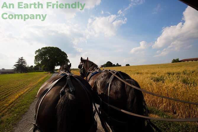 Philadelphia and Amish Country Day Trip From New York City - Transportation Details