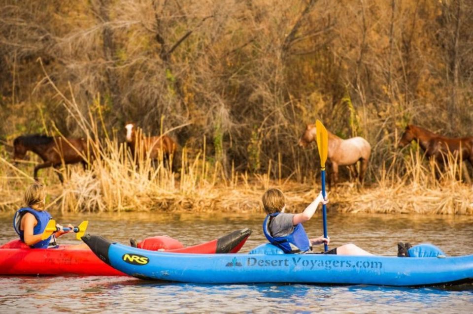 Phoenix & Scottsdale: Lower Salt River Kayaking Tour - Activity Details