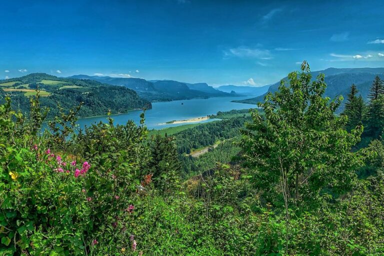 Portland: Sightseeing Tour With Columbia Gorge Waterfalls