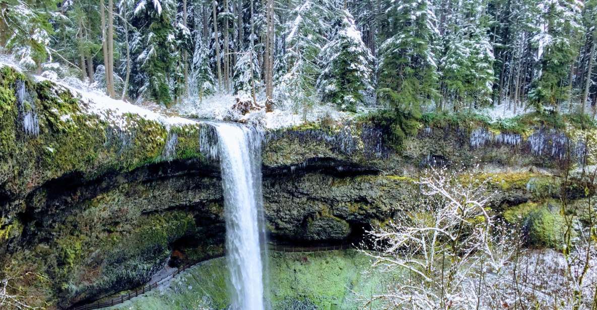 Portland: Silver Falls Hike and Wine Tour - Booking Details