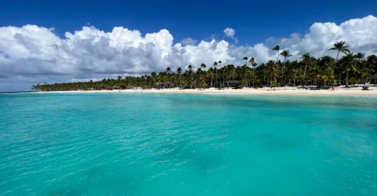 Premium Saona Island From Punta Cana