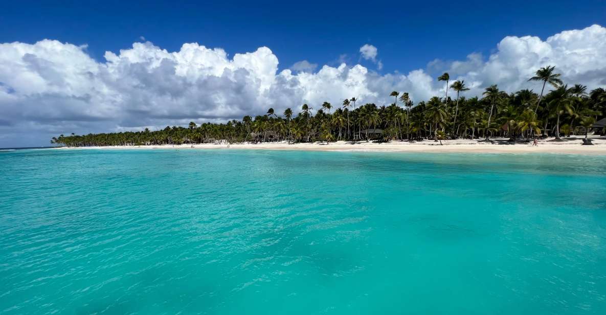 Premium Saona Island From Punta Cana - Activity Details