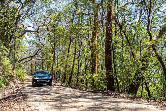 Private Blue Mountains & Sydney Escape in a Day SUV Tour