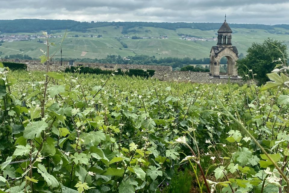 Private Champagne Ruinart, Moet Chandon Day Trip by Mercedes - Inclusions