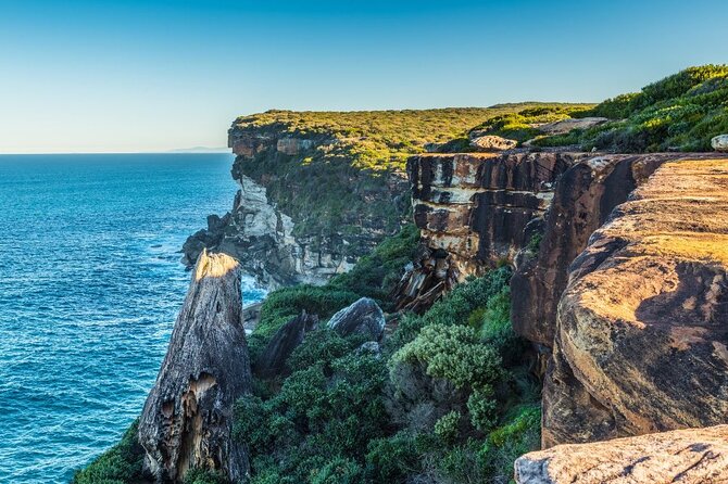 Private Day Trip to Royal National Park - up to 7 Guests - Trip Overview