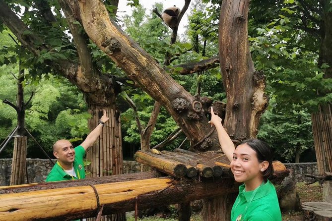 Private Dujiangyan Panda Base Panda Rescue Center Volunteer for a Day - Tour Details and Itinerary