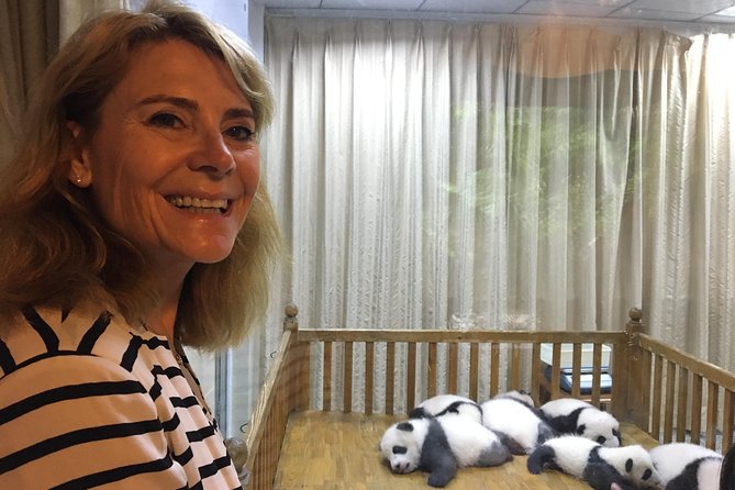 Private Half-Day Chengdu Panda Breeding Center Tour With Optional Volunteer