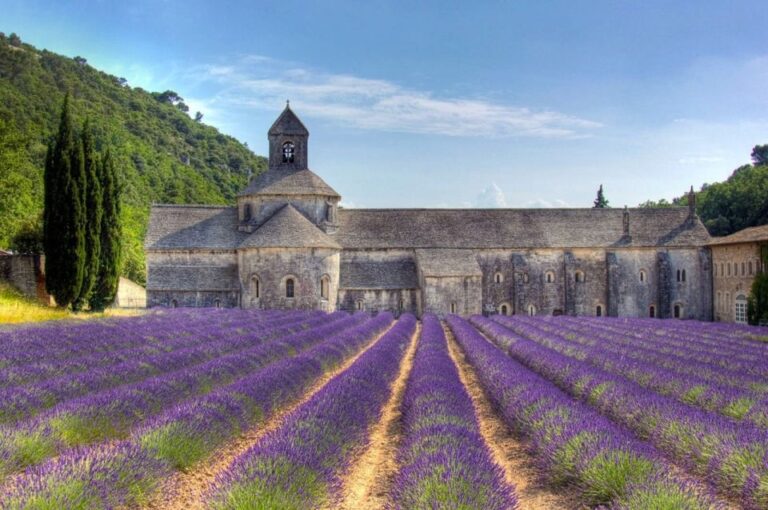 Private Lavender of Provence Tour
