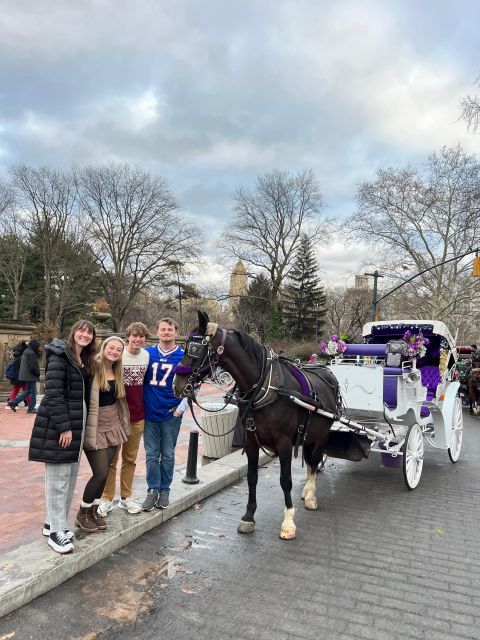 Private NYC Lights or Christmas Lights Horse Carriage Tour - Tour Details