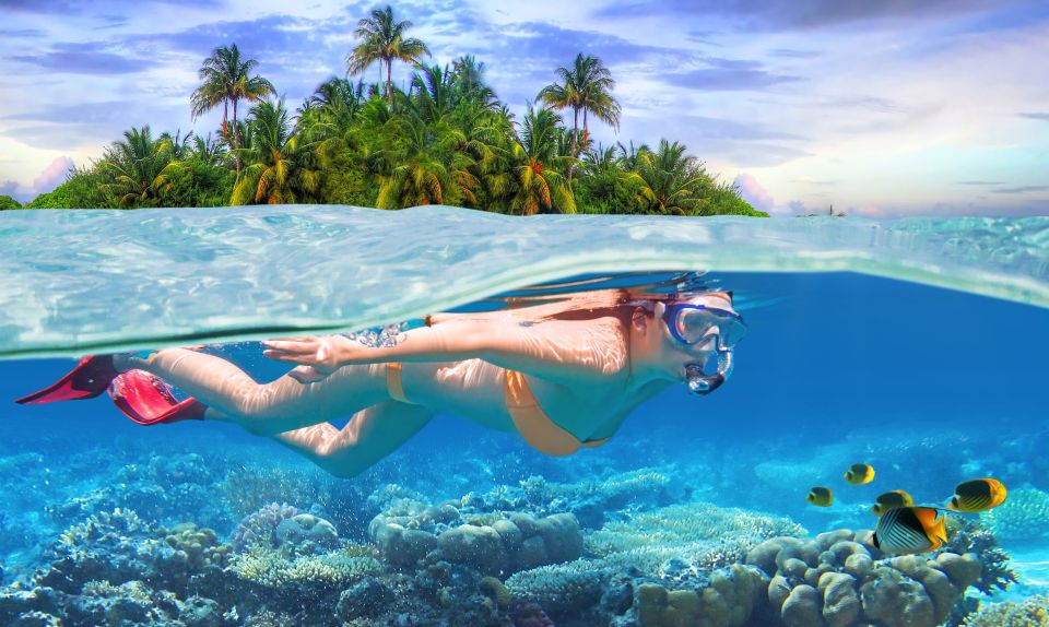 Private Sea-Nic, Sip N' Snorkel on a Semi-Submersive Craft - Activity Details