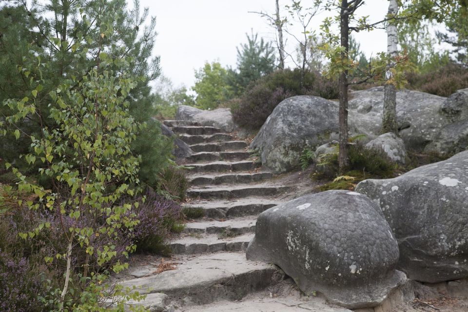 Private Tour to Chateaux of Fontainebleau From Paris - Tour Details