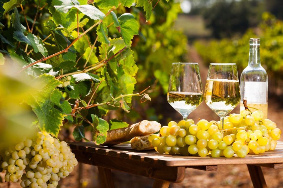 Provencal Market & Wine Tasting Full Day Tour