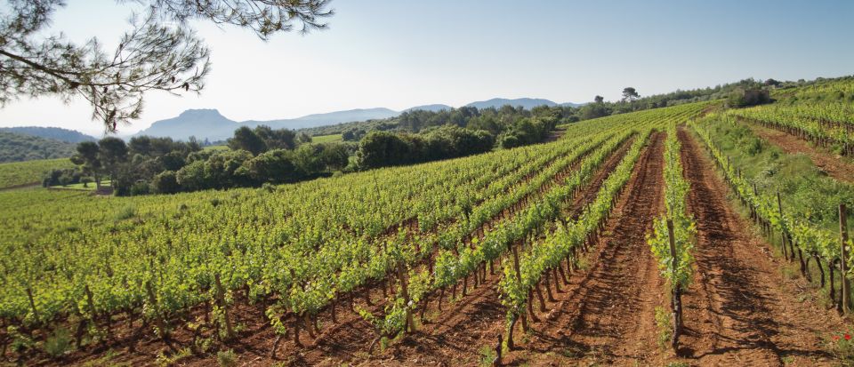 Provence Wine Tour - Private Tour From Nice - Tour Highlights