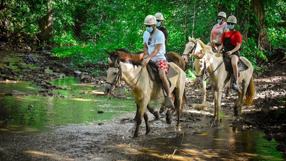 Punta Cana: 3 Tour Zip Line, Buggy and Horse Ride. - Tour Details