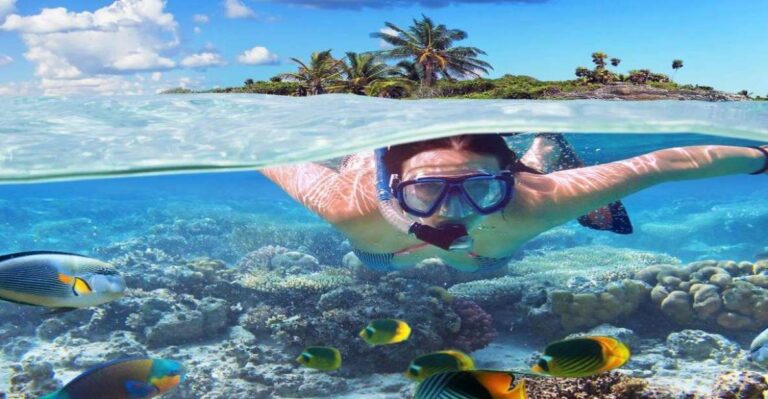 Punta Cana Excursions & Tours – Punta Cana Adventures