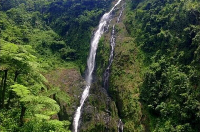 Punta Cana: Salto La Jalda & Montana Redonda