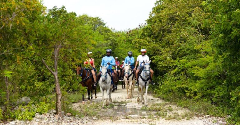 Punta Cana: Swim With Horses Guided Horseback Tour