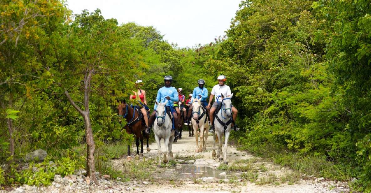 Punta Cana: Swim With Horses Guided Horseback Tour - Activity Overview