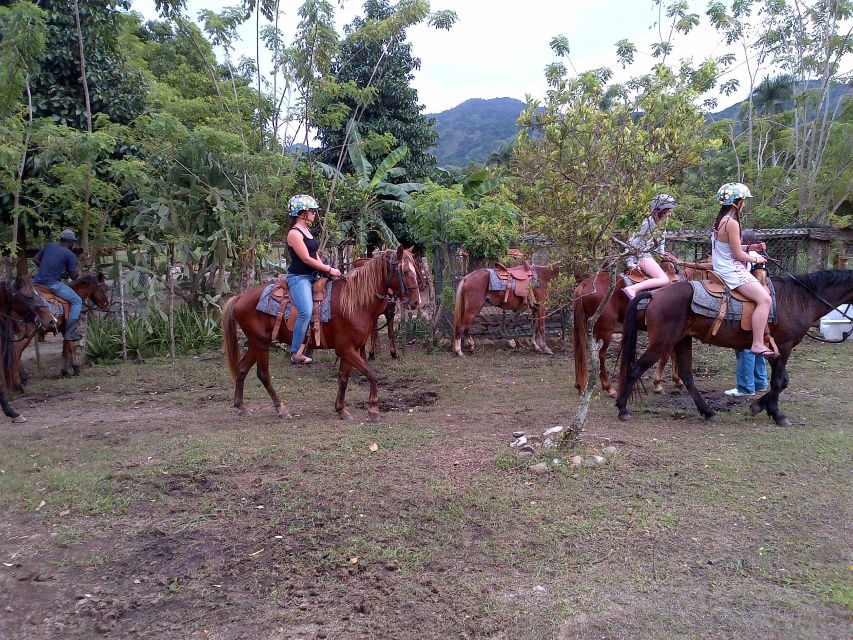 Ride N Zip Adventure in Puerto Plata - Experience Description