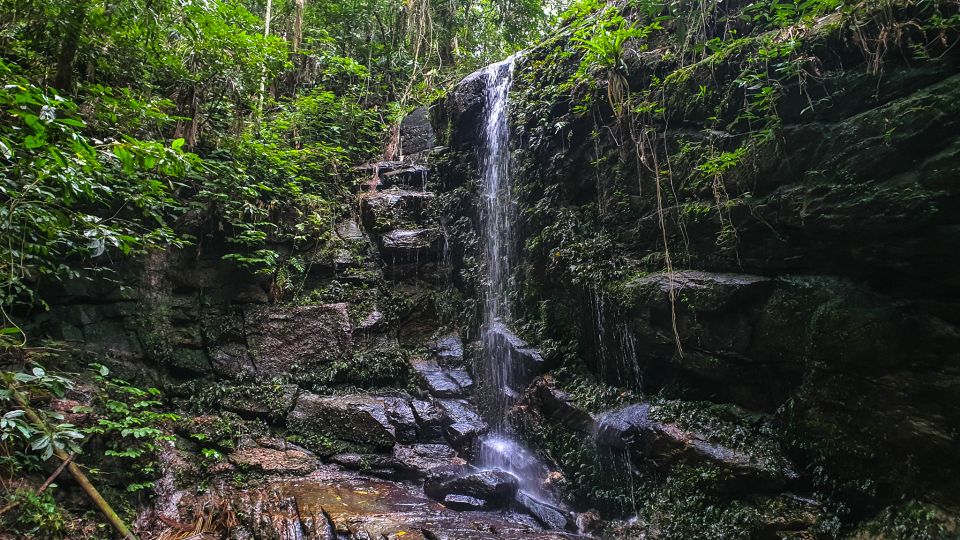 Rio De Janeiro: Tijuca Forest Waterfall of Souls Hike - Activity Overview