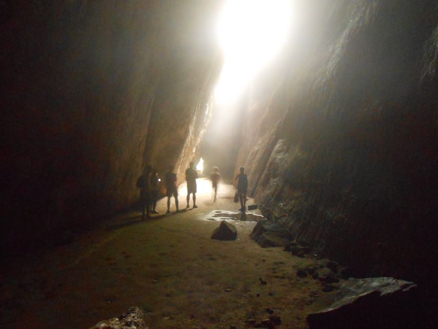 Rio De Janeiro: Tijuca National Park Ecotour