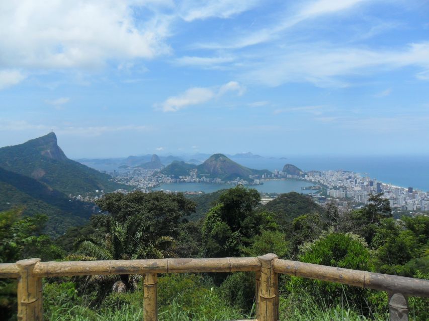 Rio De Janeiro: Tijuca's Peak Hiking Tour